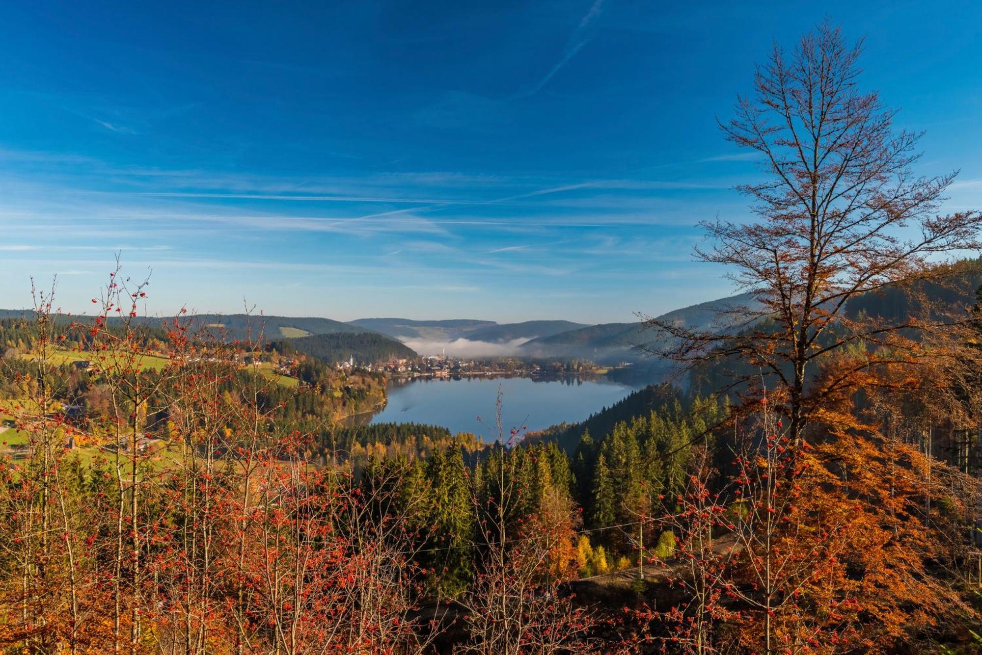 Drei Tannen - Wohnung 04 - Apartmenthaus, Titisee, Nahe Badeparadies Екстериор снимка